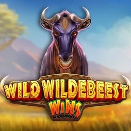 Play the Wild Wildebeest Wins slot by Pragmatic Play on Winbay Casino